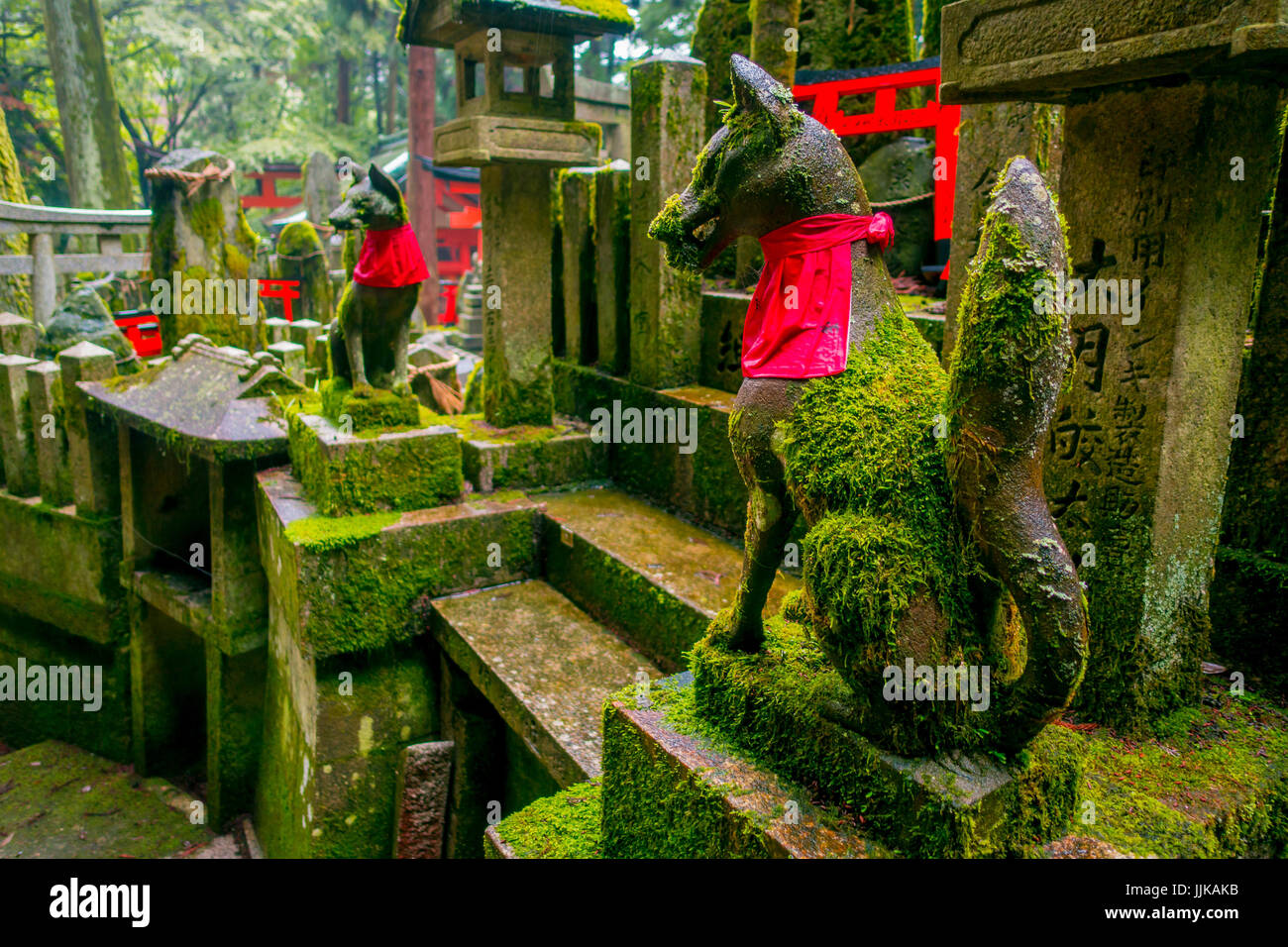 KYOTO, JAPAN - 5. Juli 2017: Fox Steinstatue in Fushimi Inari Schrein Fushimi Inari-Taisha-Tempel in Japan. Stockfoto