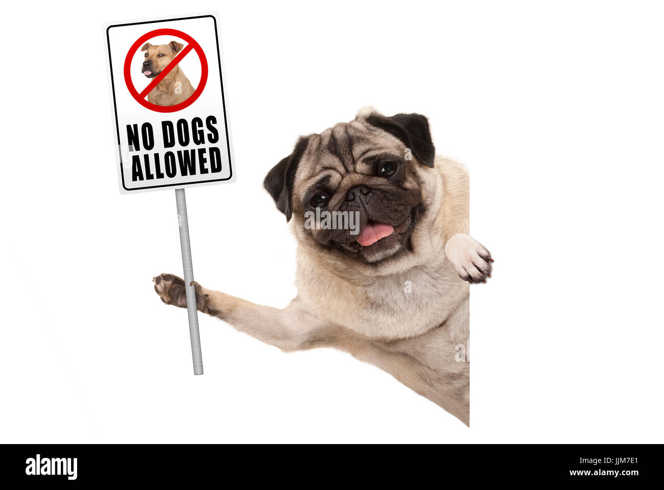 Kein hundezeichen und hund Fotos und Bildmaterial in hoher Auflösung