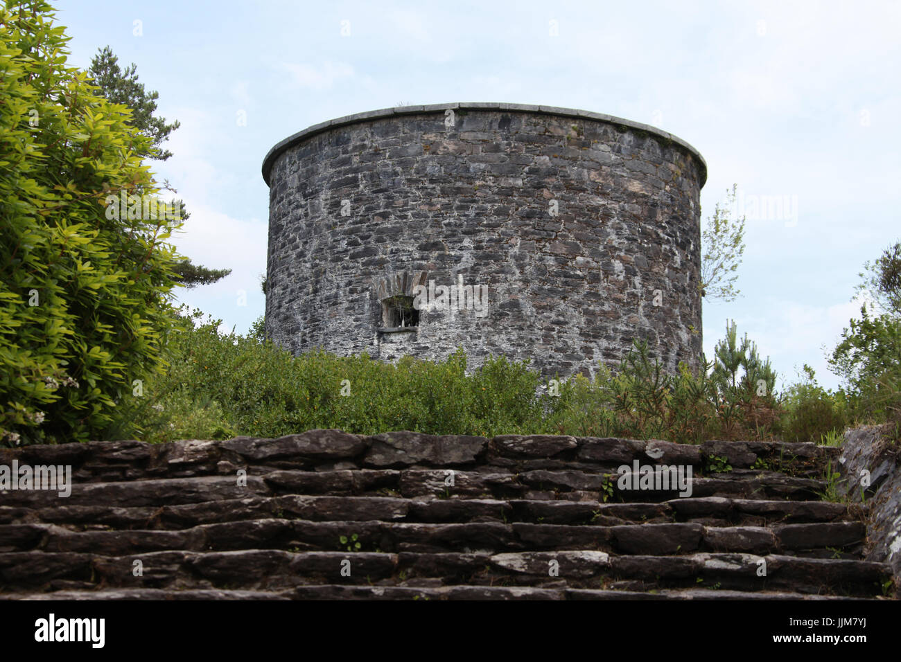 Martello-Turm in Irland Stockfoto