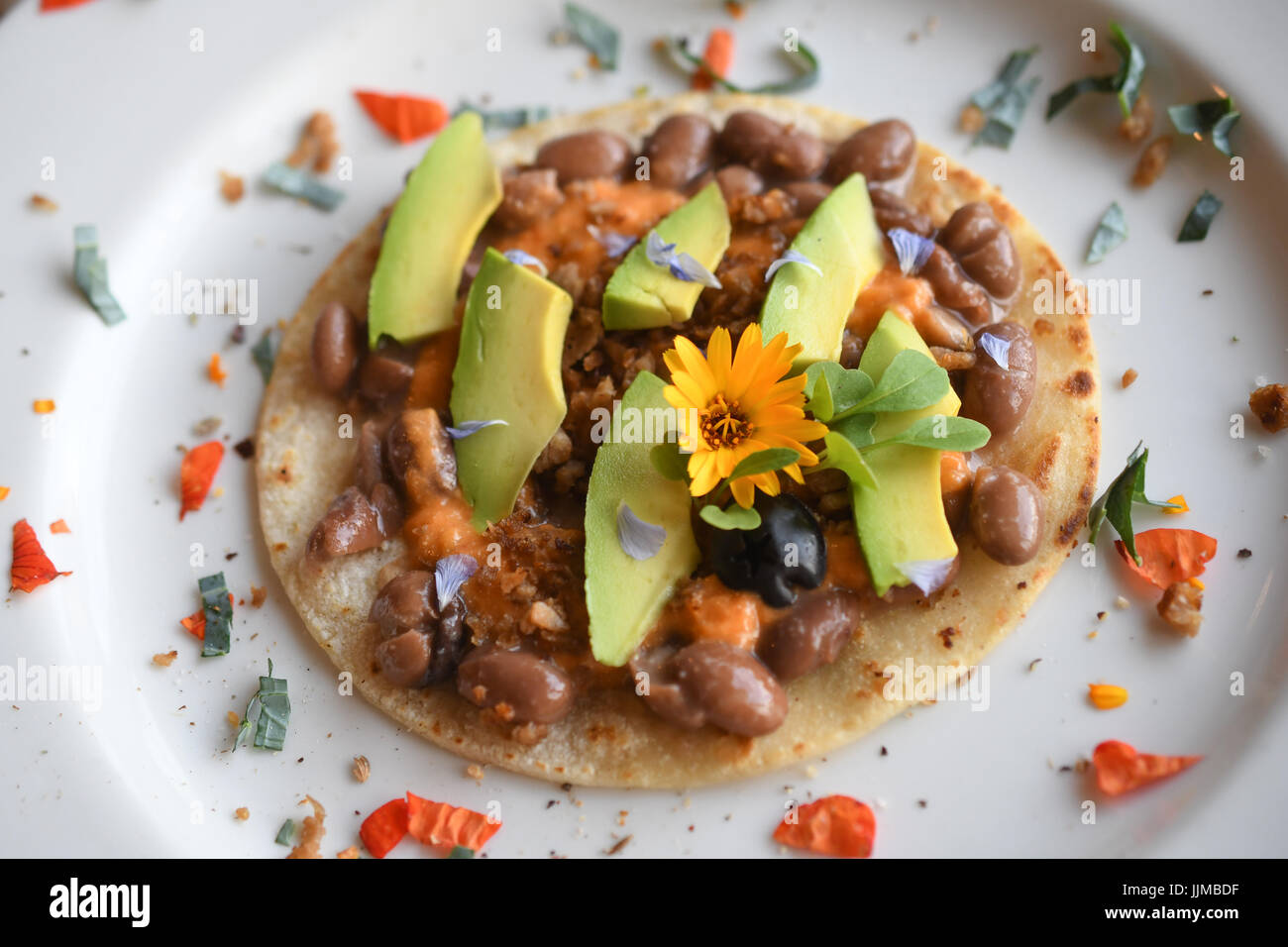 Taco Dienstag, vegane Tacos mit Chorizo-Bohnen, veganen Käse, Avocado, blaue Blume Blütenblatt und eine gelbe Blume. Stockfoto