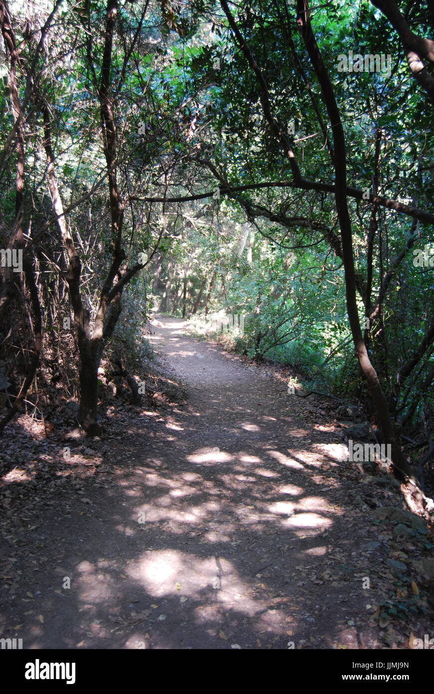 Holz Straße in Samos Stockfoto