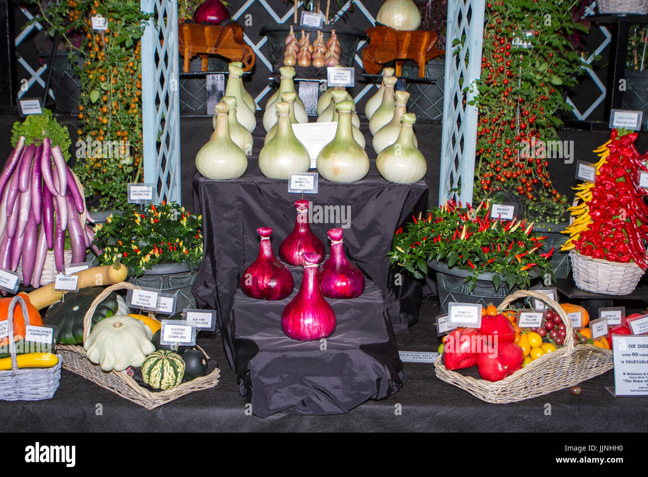 Tomaten und Zwiebel Sorten an Tatton Park Flower Show angezeigt Stockfoto