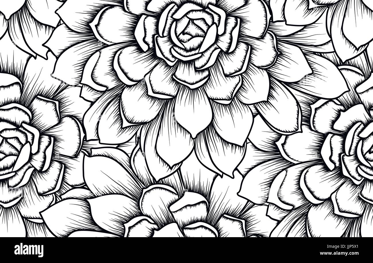 Saftige Musterdesign Kaktus Echeveria Printdesign schöne Blume Blatt, schwarze lineare Zeichnung trendige Fliese Vektor ornamentalen Abbildung isolat Stock Vektor