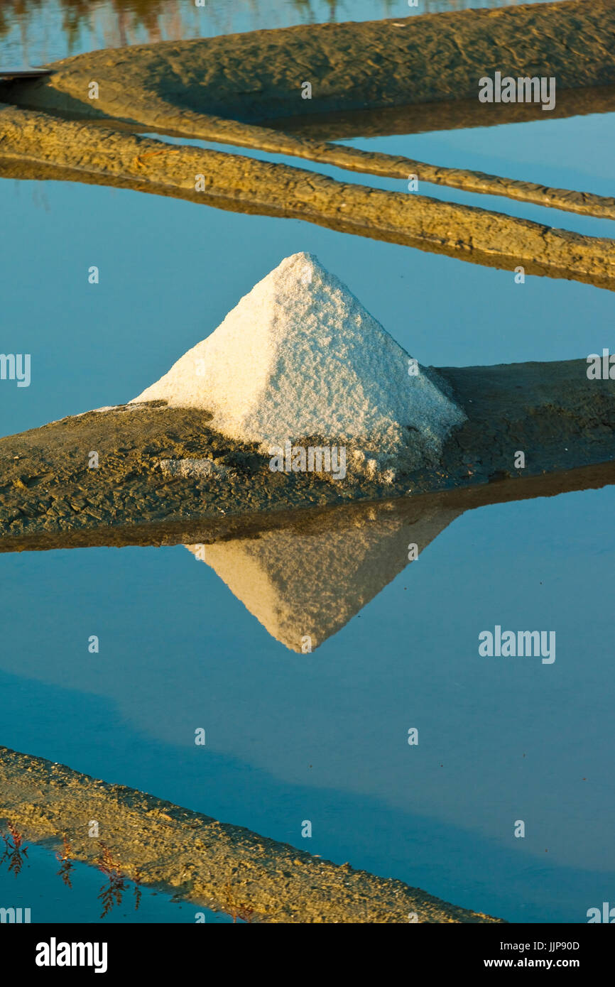 Salinen und Stapel von "Fleur de Sel" rund um den Fier d'Ars Sümpfe des Westens. Ars en Ré, Île de Ré, Charente-Maritime, Frankreich Stockfoto