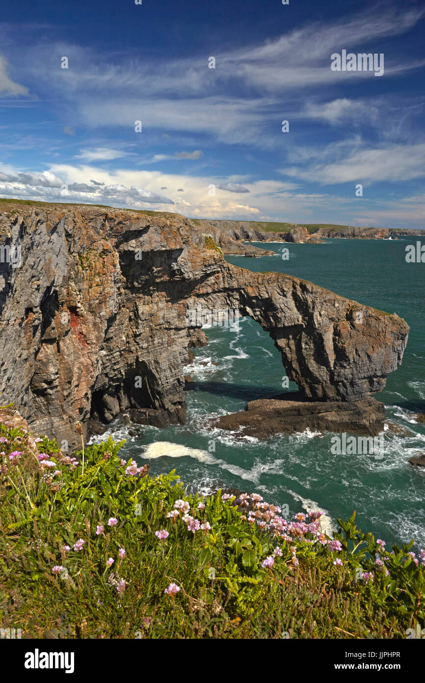 Die Grüne Brücke von Wales Felsbogen auf dem Pembrokeshire Coastal Path. Stockfoto
