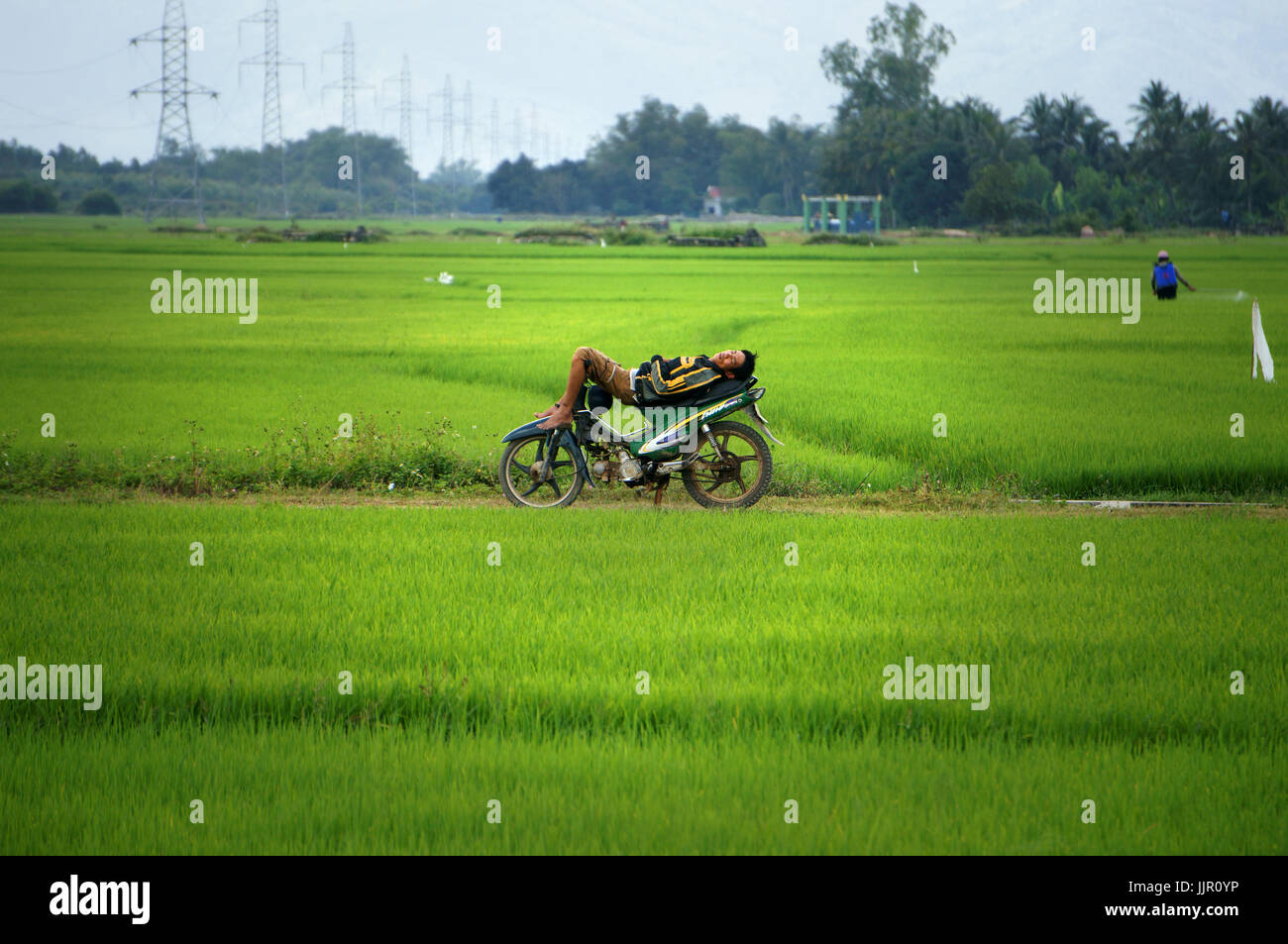 DAK LAK, Vietnam, asiatischer Mann im Tiefschlaf auf Motorrad am grünen Reisfeld wenn andere arbeiten er sich hinlegen auf Motorrad erstaunlich in Vietnam Stockfoto