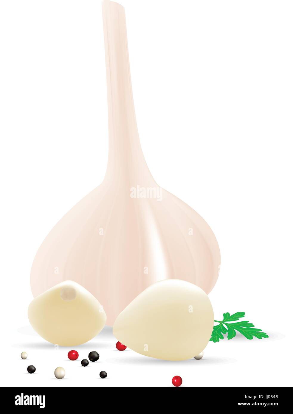 Knoblauch und Knoblauchzehen mit Spice, Isolated On White Background. Stock Vektor