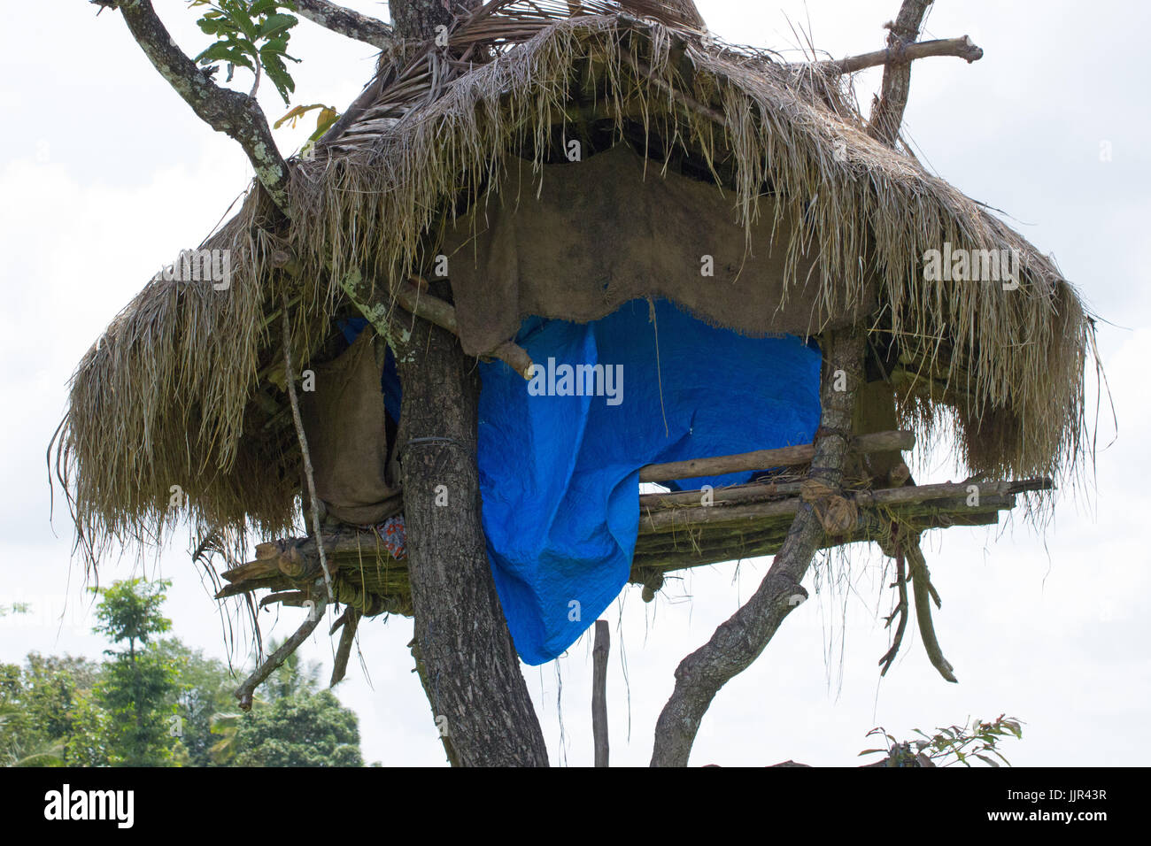 Baumhütte Stockfoto