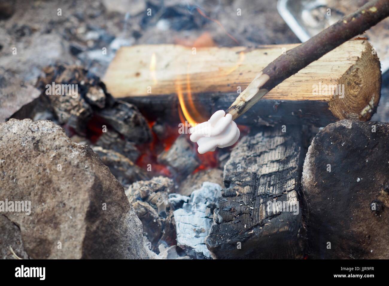 Marshmallow auf ein Lagerfeuer Braten Stockfoto