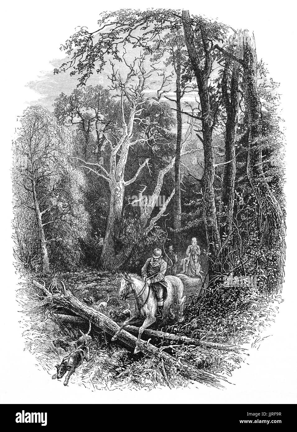 1870: Jäger und Hunde in der Zedern, Teil des Windsor Great Park, Berkshire, England Stockfoto