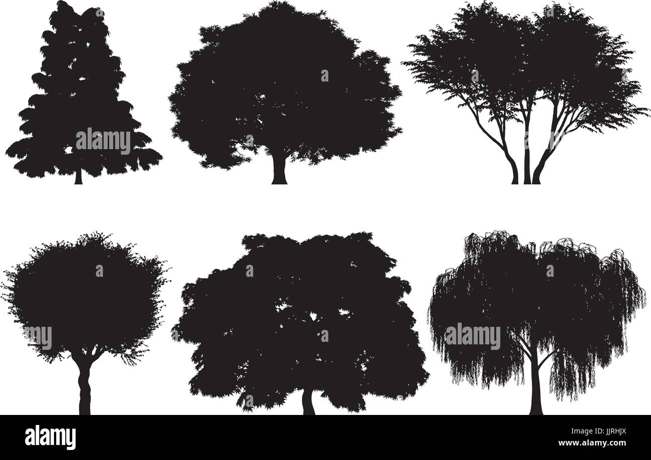 Vektor-Illustration der Baum Silhouetten Stock Vektor