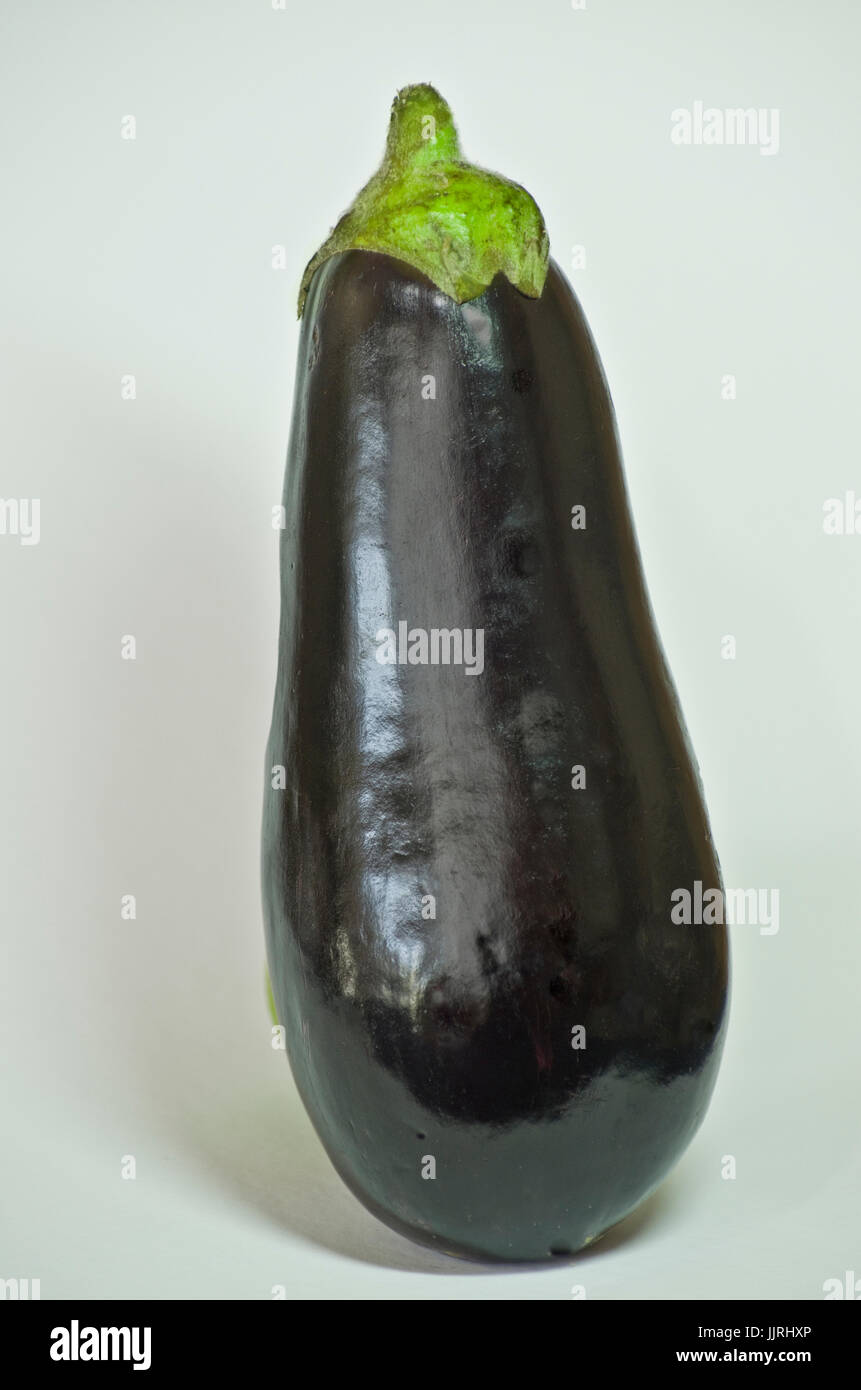 Plant garden aubergine -Fotos und -Bildmaterial in hoher Auflösung – Alamy