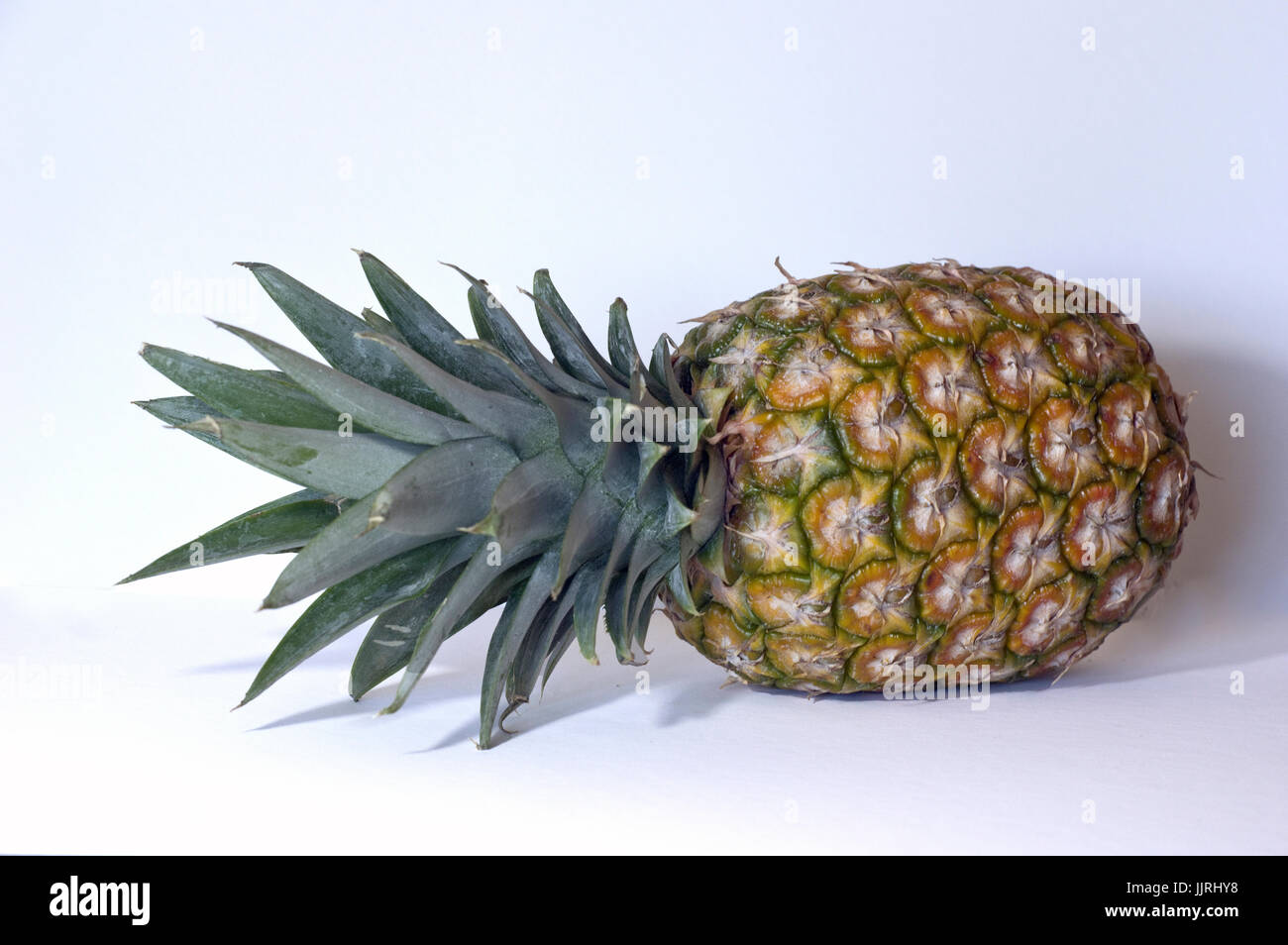 Ganze Ananas Stockfoto