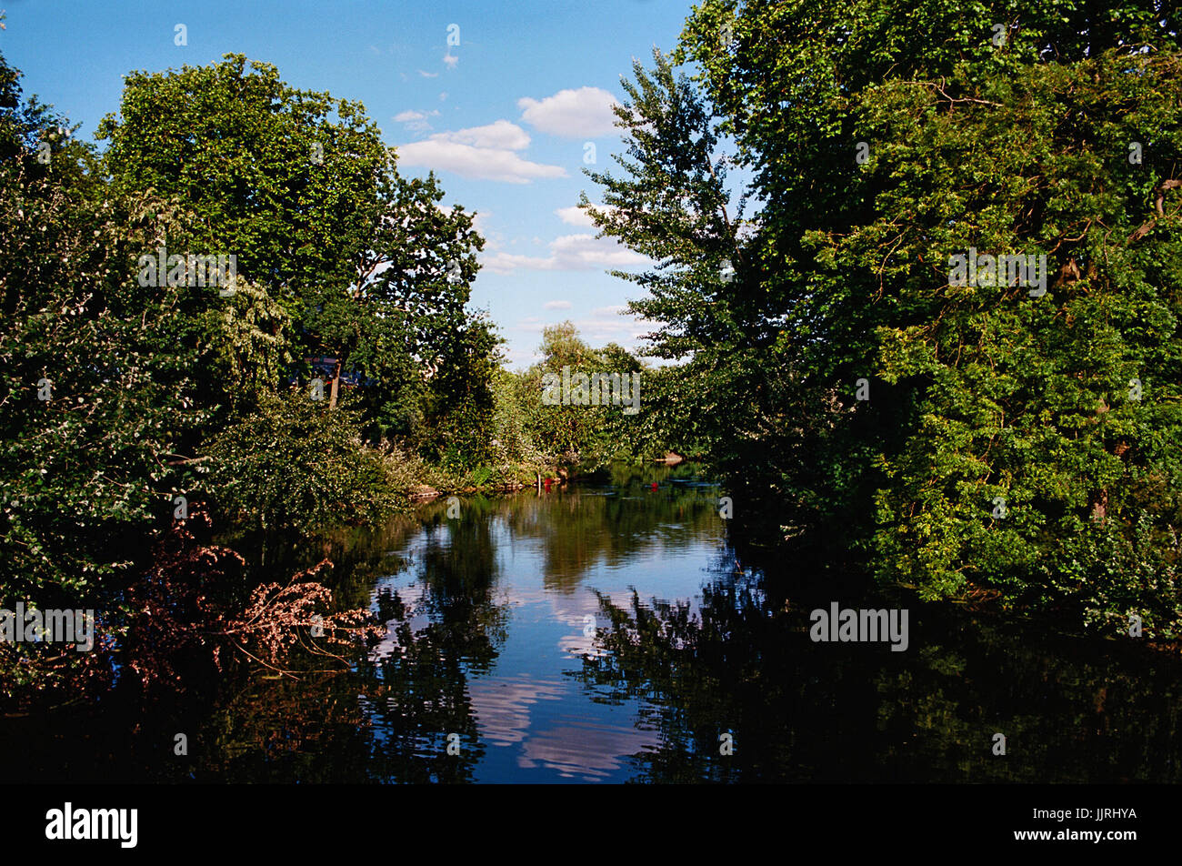 See im Victoria Park, East London, UK, im Sommer Stockfoto