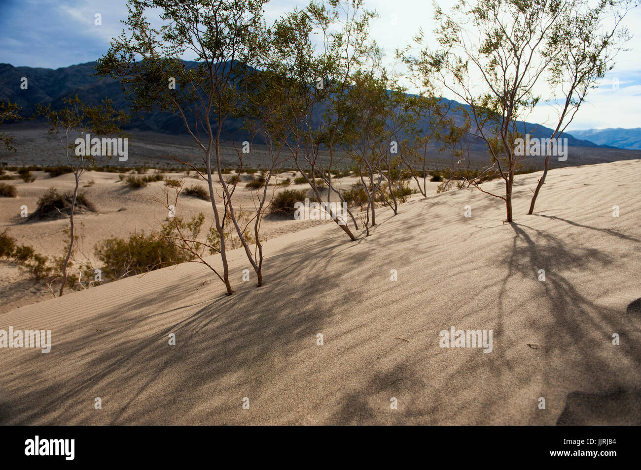 Death Valley Landschaft, Wüste Südwesten der USA Stockfoto