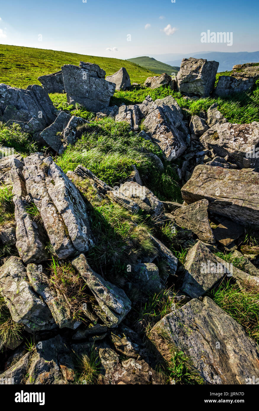 Wiese mit riesigen Felsbrocken auf der Piste. Bergrücken an einem schönen sonnigen Sommertag. wunderbare Landschaft der Karpaten Stockfoto