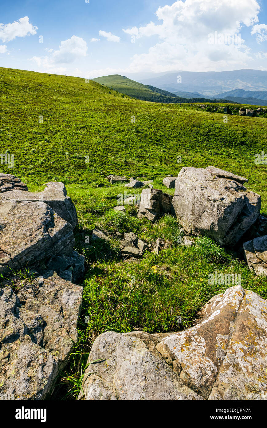 Wiese mit riesigen Felsbrocken auf der Piste. Bergrücken an einem schönen sonnigen Sommertag. wunderbare Landschaft der Karpaten Stockfoto