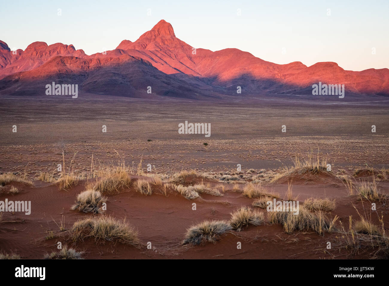 Roten Sanddünen des NamibRand Nature Reserve in Namibia, Afrika Stockfoto