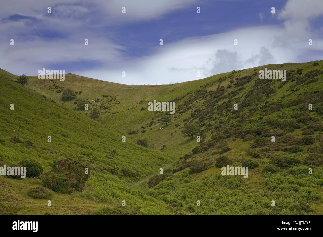 Kardieren, Mill Valley und Bodbury Hill, Long Mynd, Shropshire, England: Bestandteil des National Trust Shropshire Hügel Area of Outstanding Natural Beauty Stockfoto