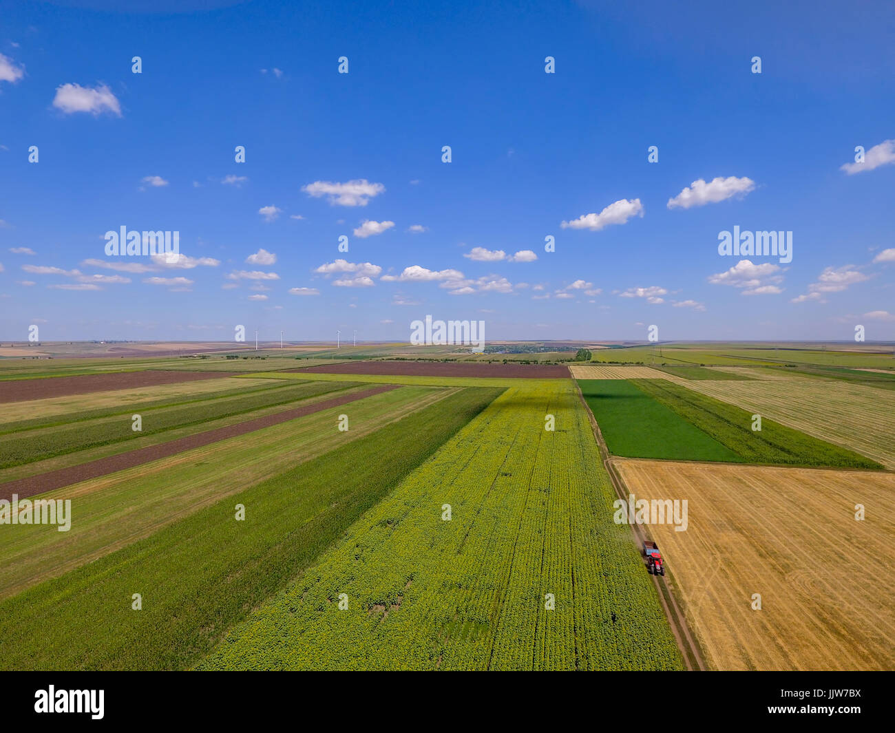 Top Luftaufnahme Foto von fliegenden Drohne eines Landes mit gesäten grüne Felder in Landschaft im Sommer. Stockfoto