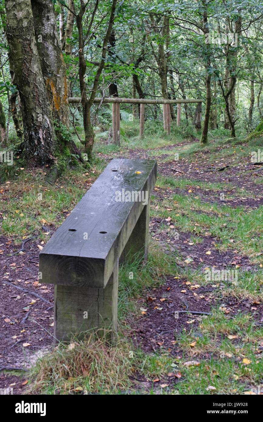 Holzbank Stockfoto