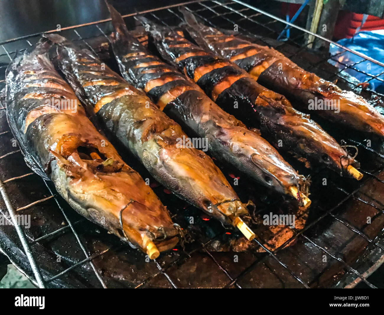 Nahaufnahme der traditionellen Holzkohle gebraten oder gegrillt Wels auf tönernen Ofen, authentische Thai Street Food. Lieblings-Beilage Menüs haben zusammen mit Som Stockfoto