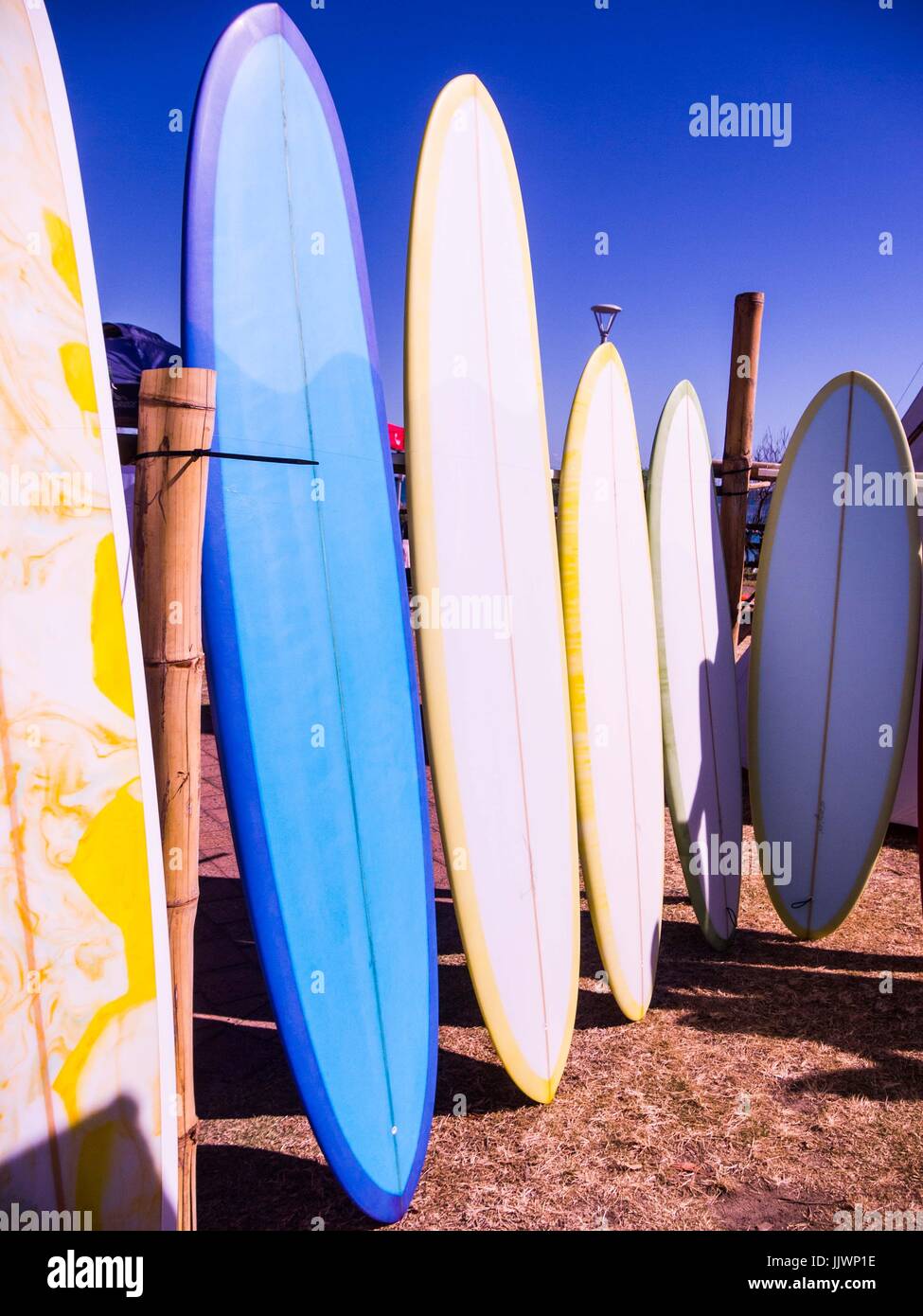 Surfbretter zum Verkauf an Surf-Festival in Byron Bay Stockfoto