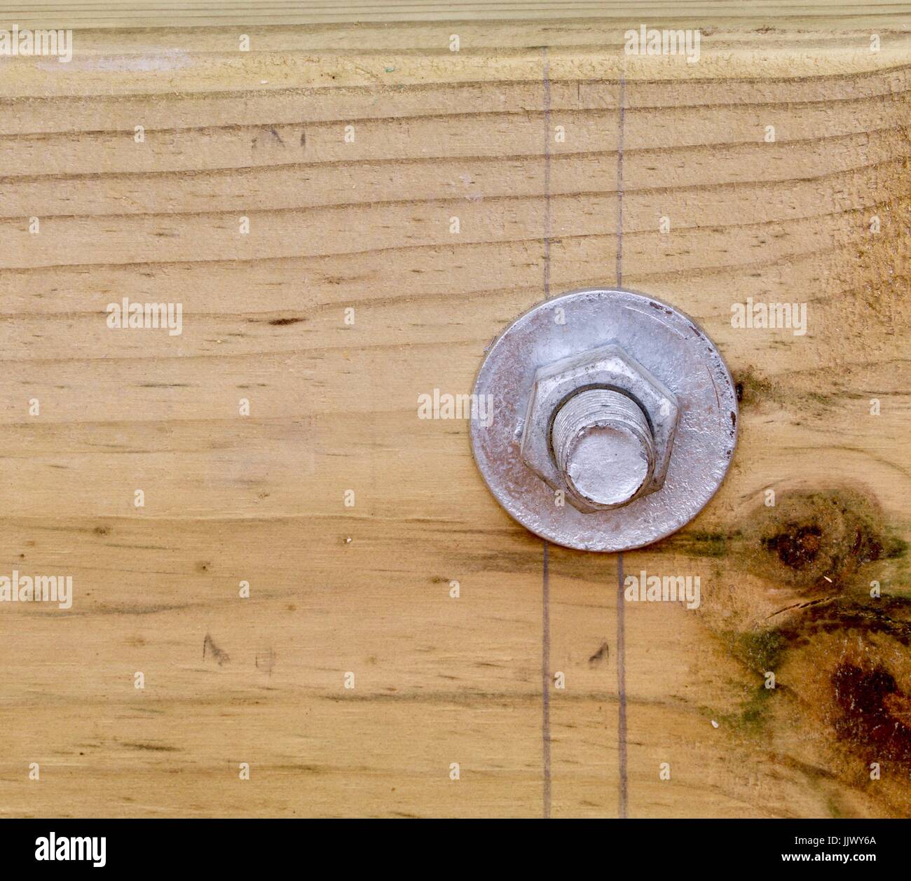 Bolzen in Plank Stockfoto