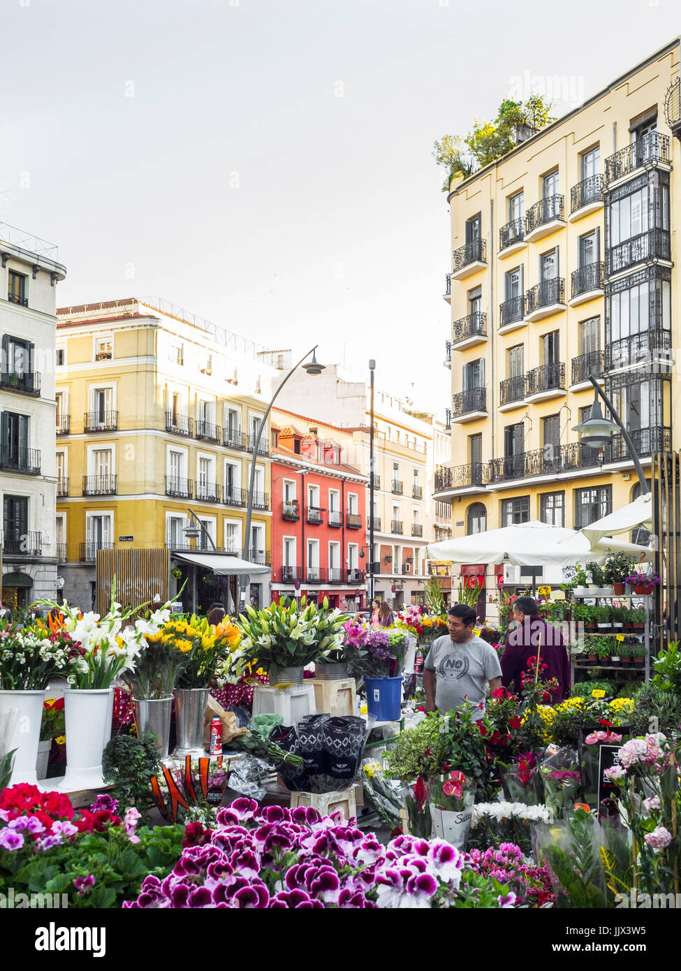 Plaza de Tirso de Molina. Madrid. España Stockfoto