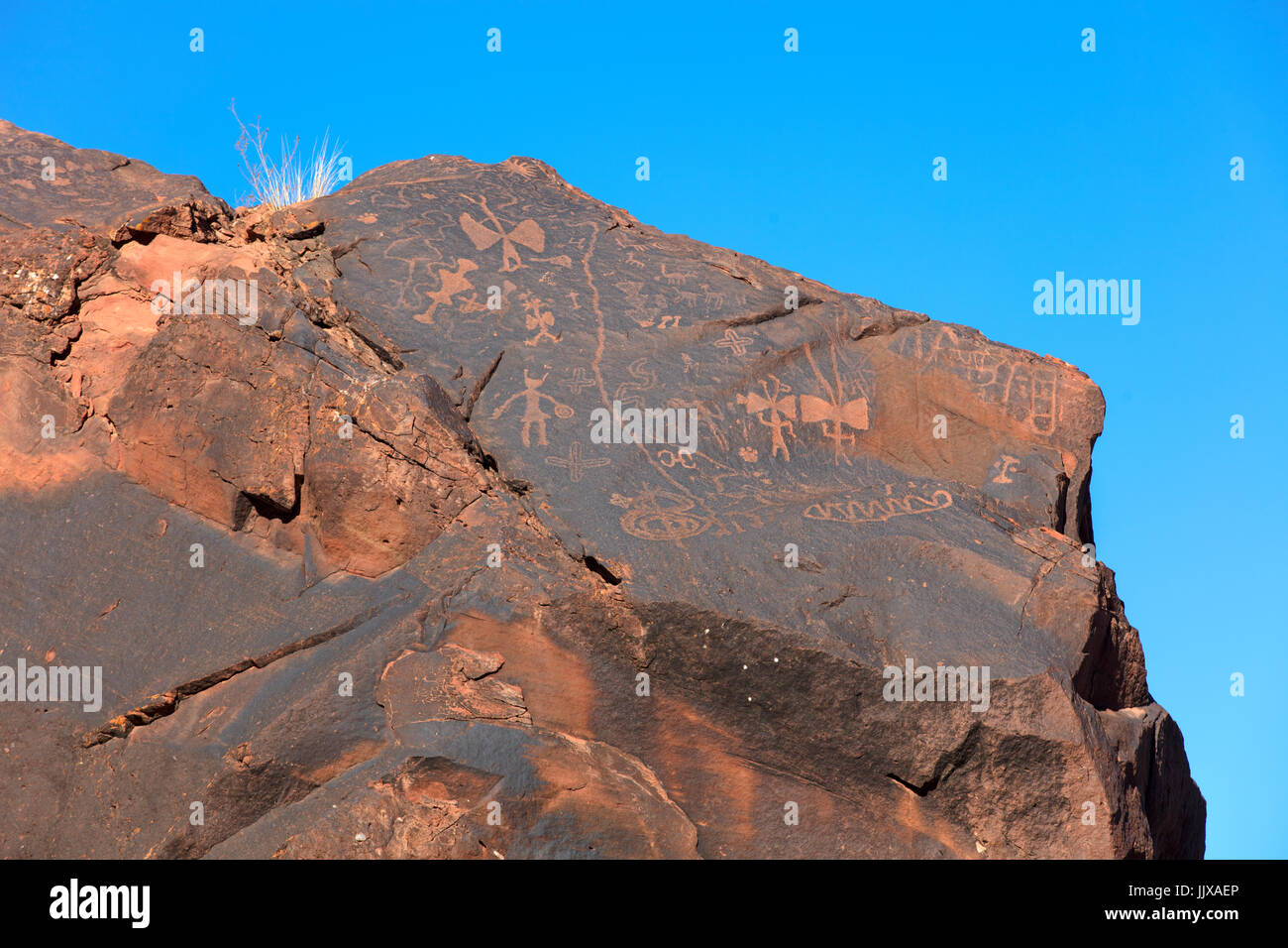 Petroglyphen auf einem Stein im Talampaya National Park. La Rioja, Argentinien. Stockfoto