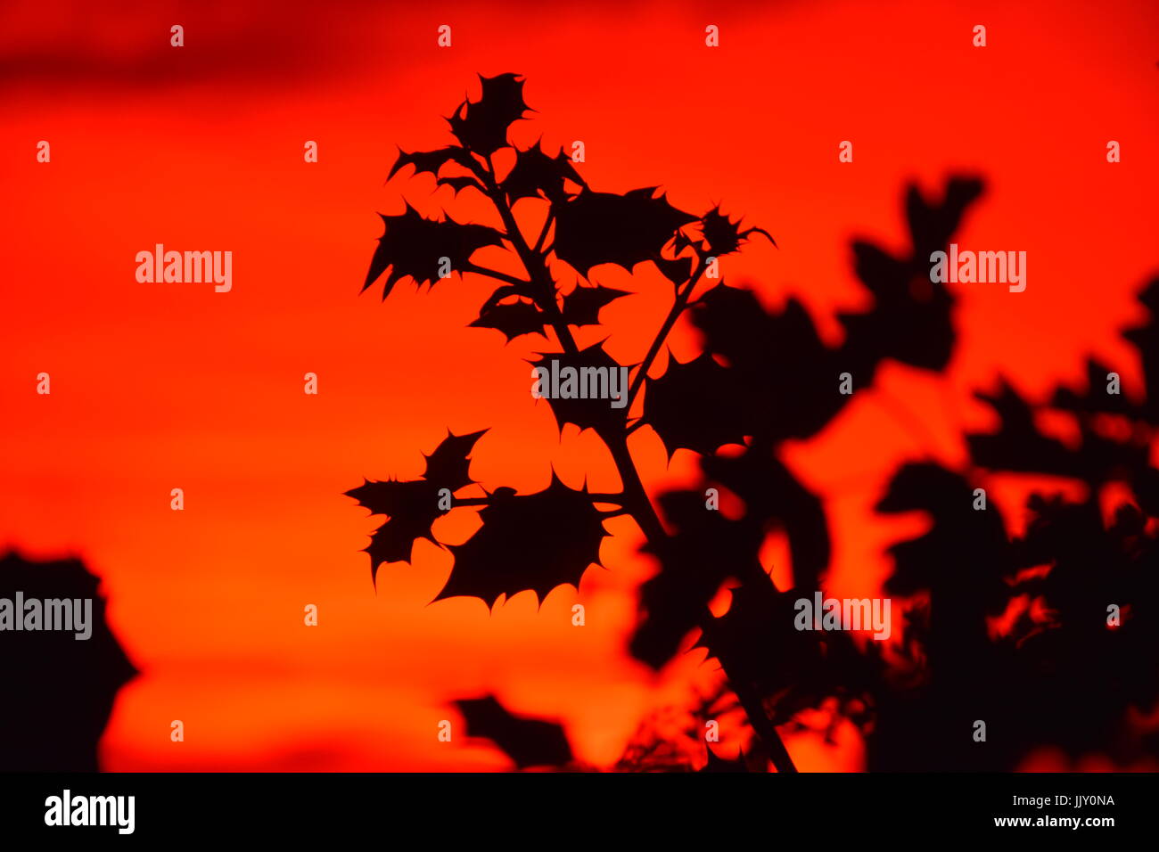 Sonnenuntergang Stockfoto