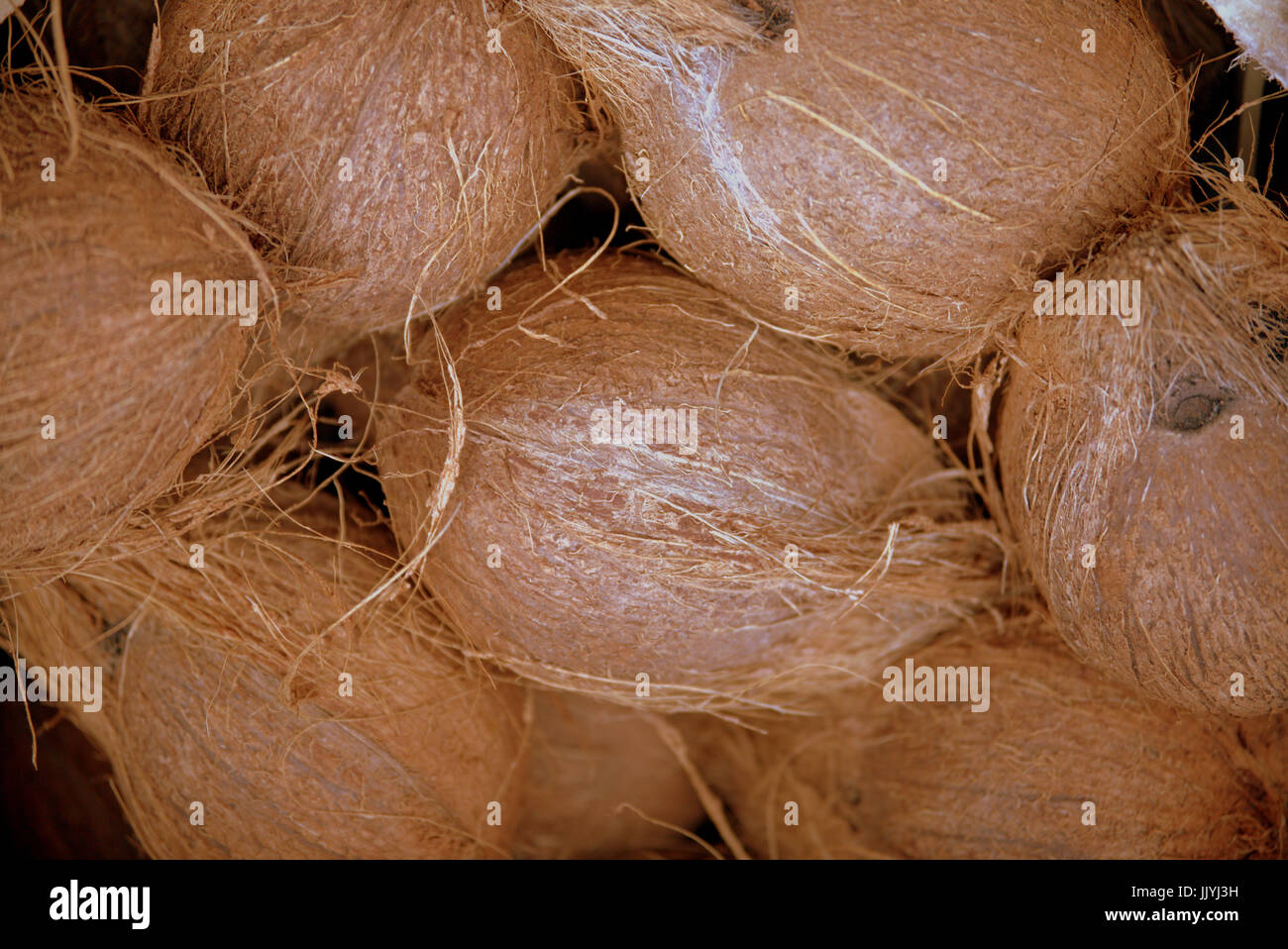 Haufen Kokosnüsse hautnah Stockfoto