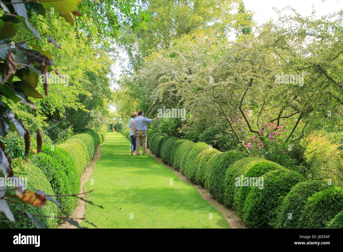 Frankreich, Somme (80), Maizicourt, Les Jardins de Maizicourt, l'Alléedes Buis Taillés Bordée d'arbustes (Nutzung Presse et Édition Livre Uniquement ein Stockfoto