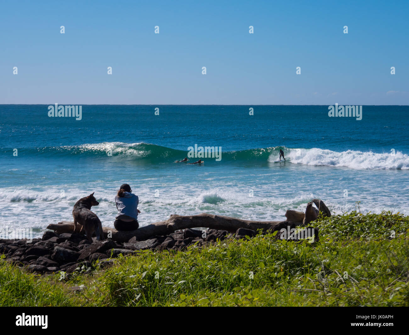 Frau und Hund entspannen und sitzt auf einem großen Niederlassung Baumstamm am Meer beobachten eine Surfer Stockfoto