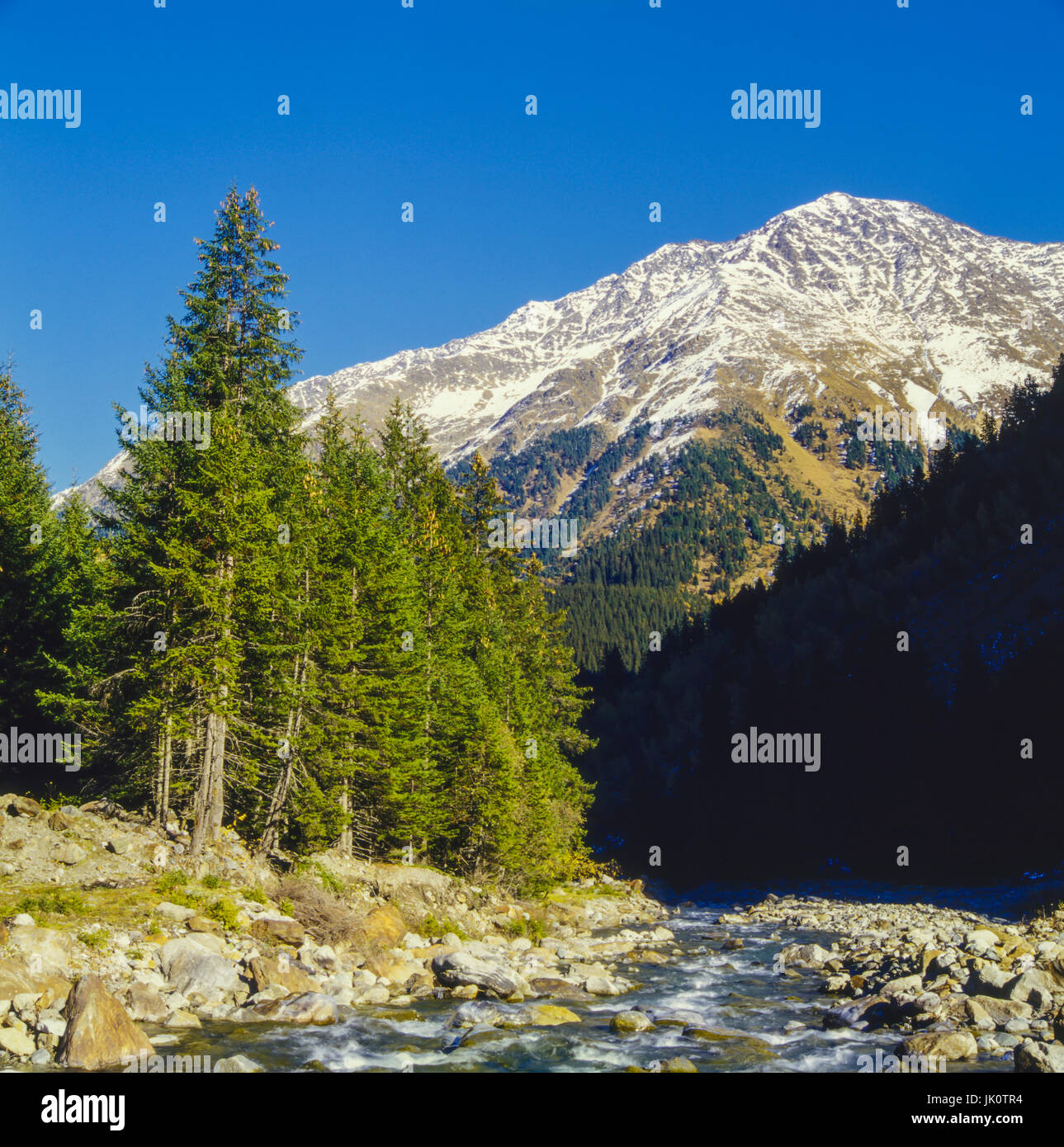 "kommen in Berggipfeln weht die schnelle eins sagen enden spät herbstlich gefärbte am Ufer des Baches R? Tz in internen Stubaital Zoll Gipfel im Schnee er Stockfoto