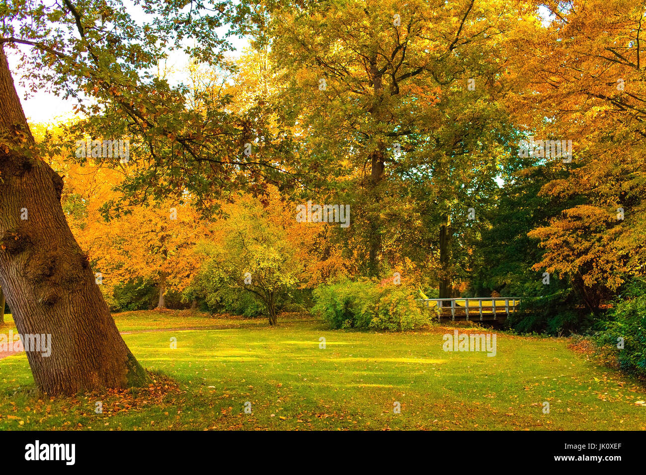 mehr herbstliche Park mit farbigen diejenigen oben hinten und kleine Holzbrücke, Herbstlicher Park Mit Bunton Baeumen Und Kleiner holzbruecke Stockfoto