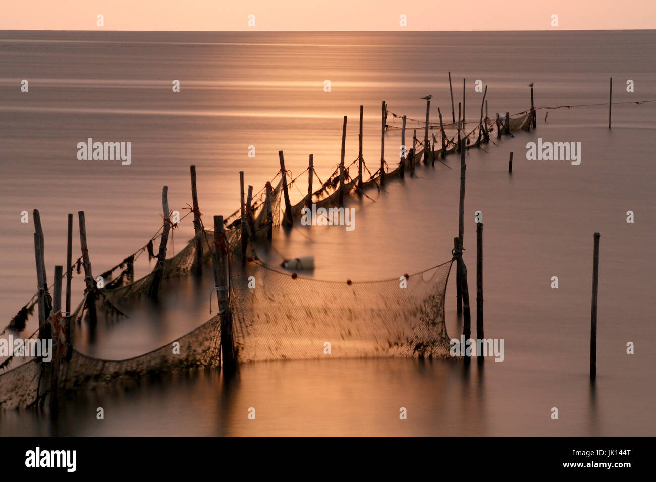 Set-Netze in das Wattenmeer auf der Insel Texel, Niederlande, Stellnetze Im Wattenmeer Auf der Insel Texel, Niederlande Stockfoto