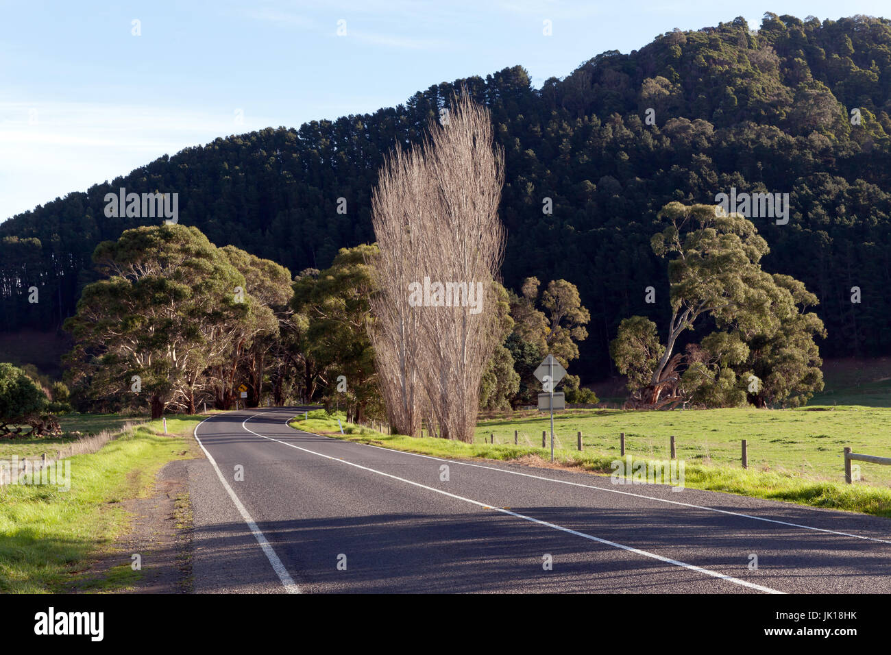 Die Great Ocean Road in der Nähe von Princetown, Victoria, Austrralia Stockfoto