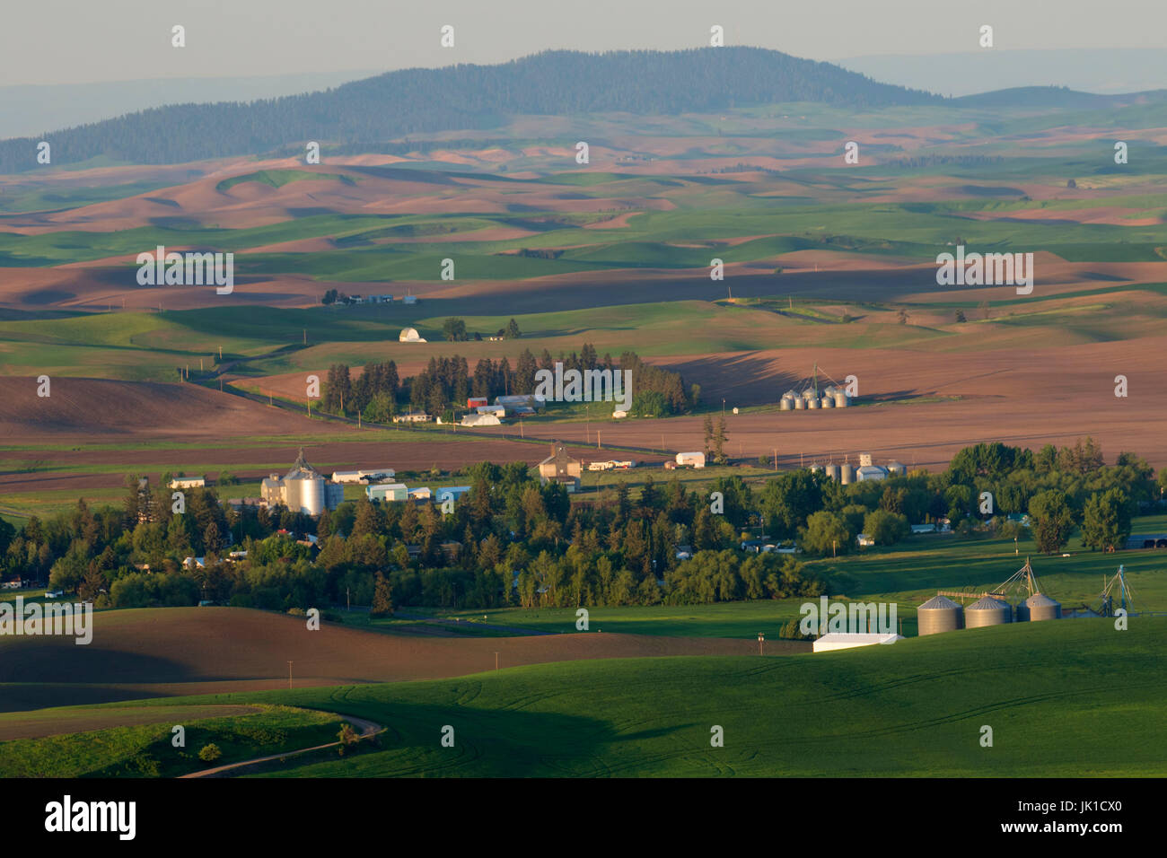 Palouse Blick vom Skyline Drive, Maria Minerva McCroskey State Park, Idaho Stockfoto