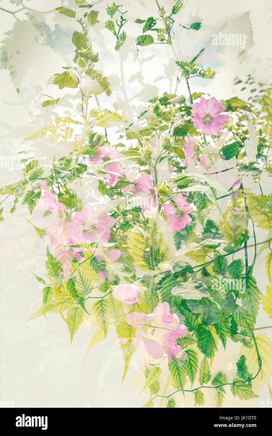Künstlerische, floraler Hintergrund Stockfoto