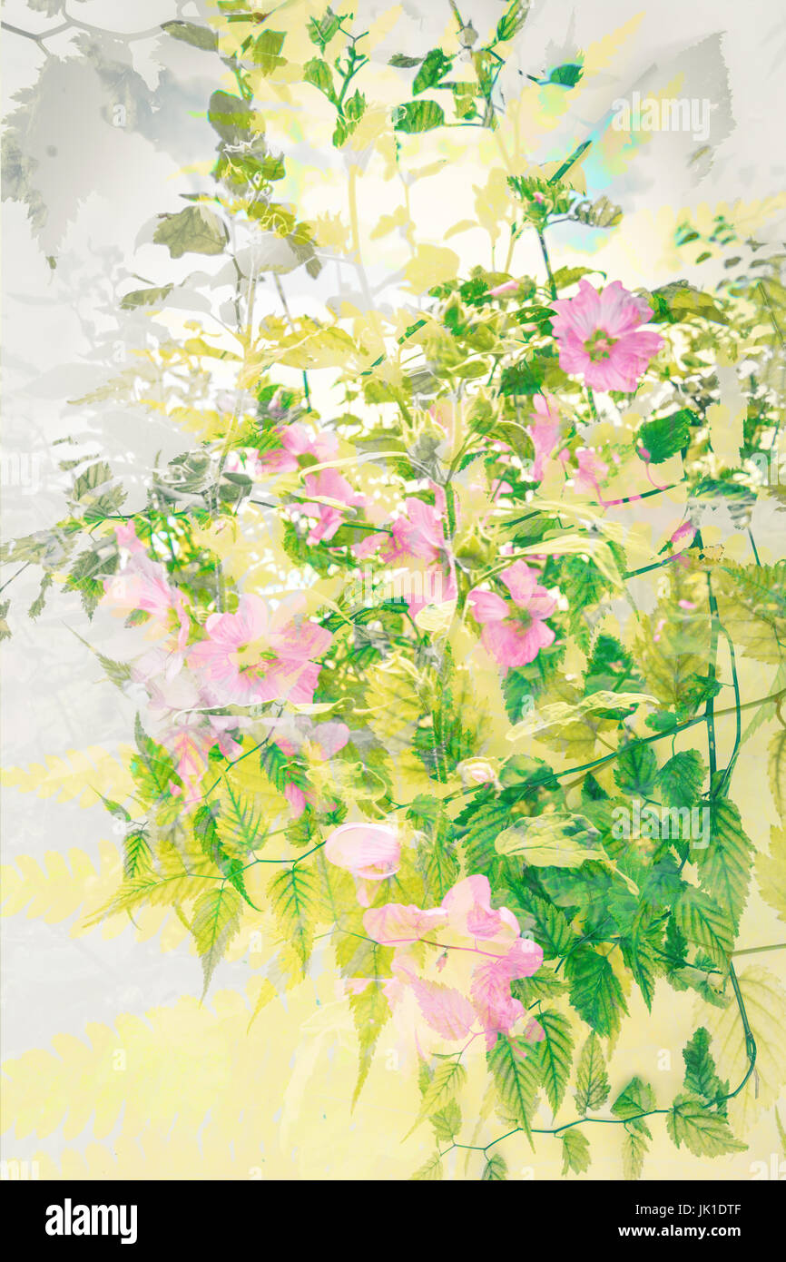 Schöne, künstlerische, Blumen, Sommer-Hintergrund Stockfoto