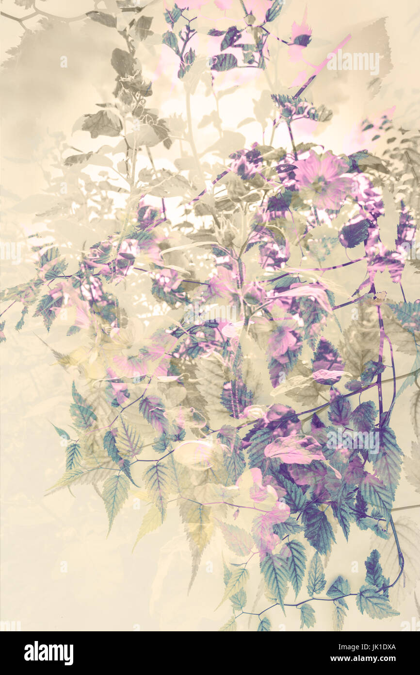 Künstlerische, floralen Hintergrund mit feinen Blumen Stockfoto