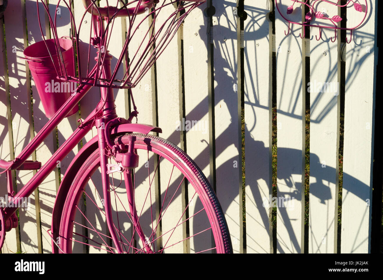 Rosa Fahrrad, Boonah, Queensland, Australien Stockfoto