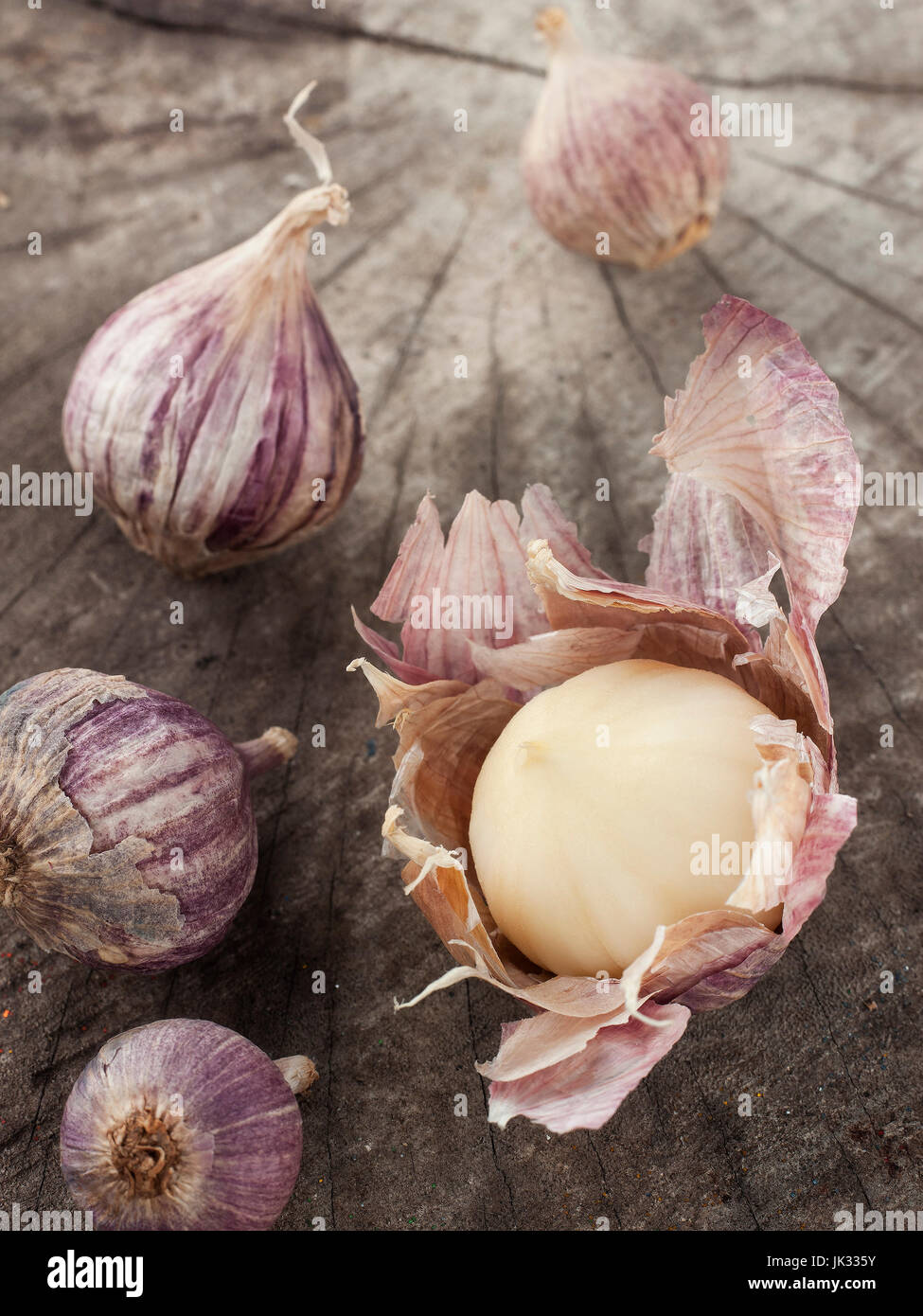 Still-Lebenskunst der einzelnen Lampe Form von Elefanten Knoblauch auf hölzernen Hintergrund Stockfoto