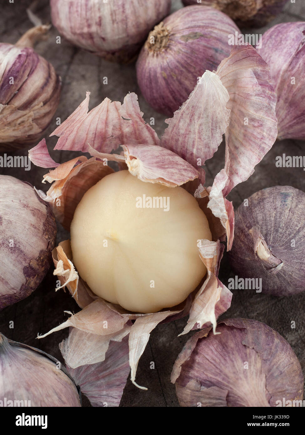 Still-Lebenskunst der einzelnen Lampe Form von Elefanten Knoblauch auf hölzernen Hintergrund Stockfoto