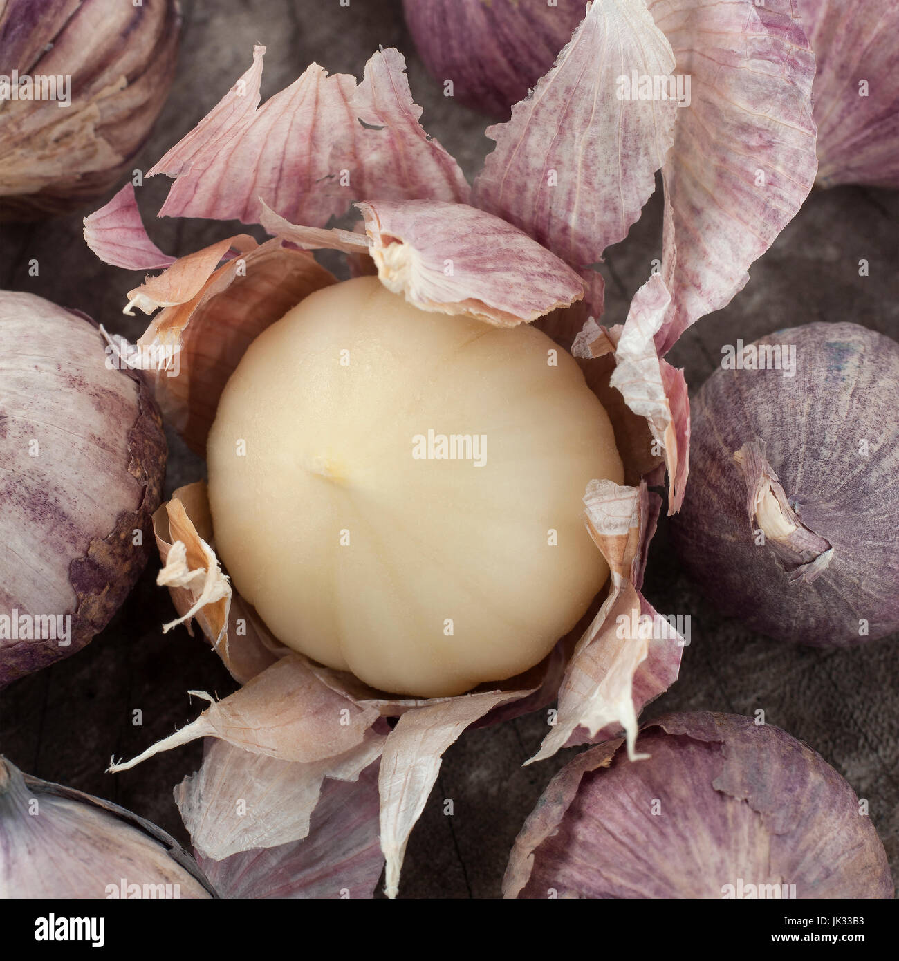 Still-Lebenskunst der einzelnen Lampe Form von Elefanten Knoblauch auf hölzernen Hintergrund Stockfoto