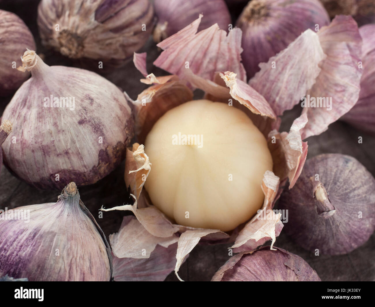 Still-Lebenskunst der einzelnen Lampe Form von Elefanten Knoblauch auf hölzernen Hintergrund Stockfoto