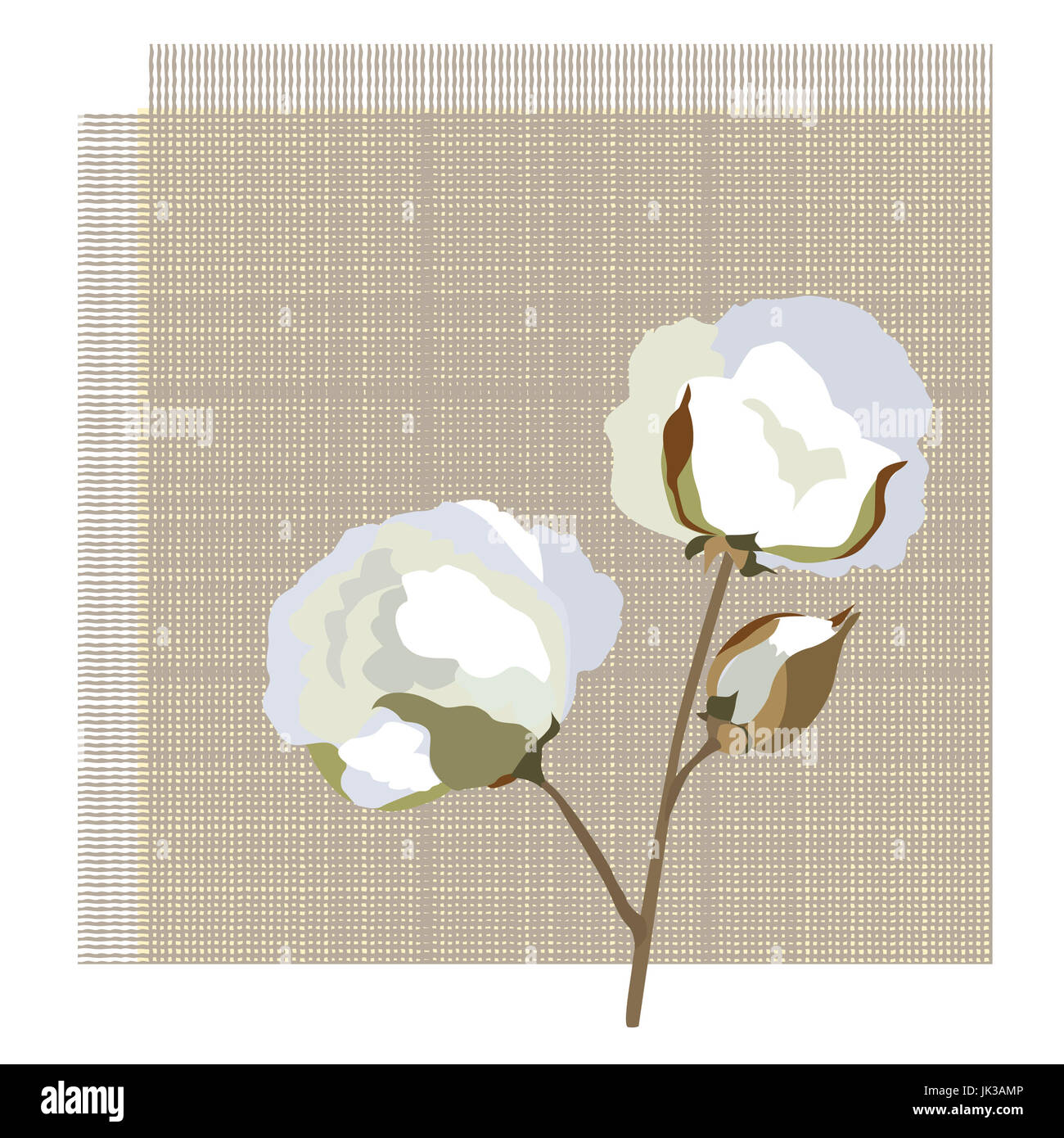 Baumwollgewebe Symbol mit Baumwolle Blume. Art Floral background Stockfoto