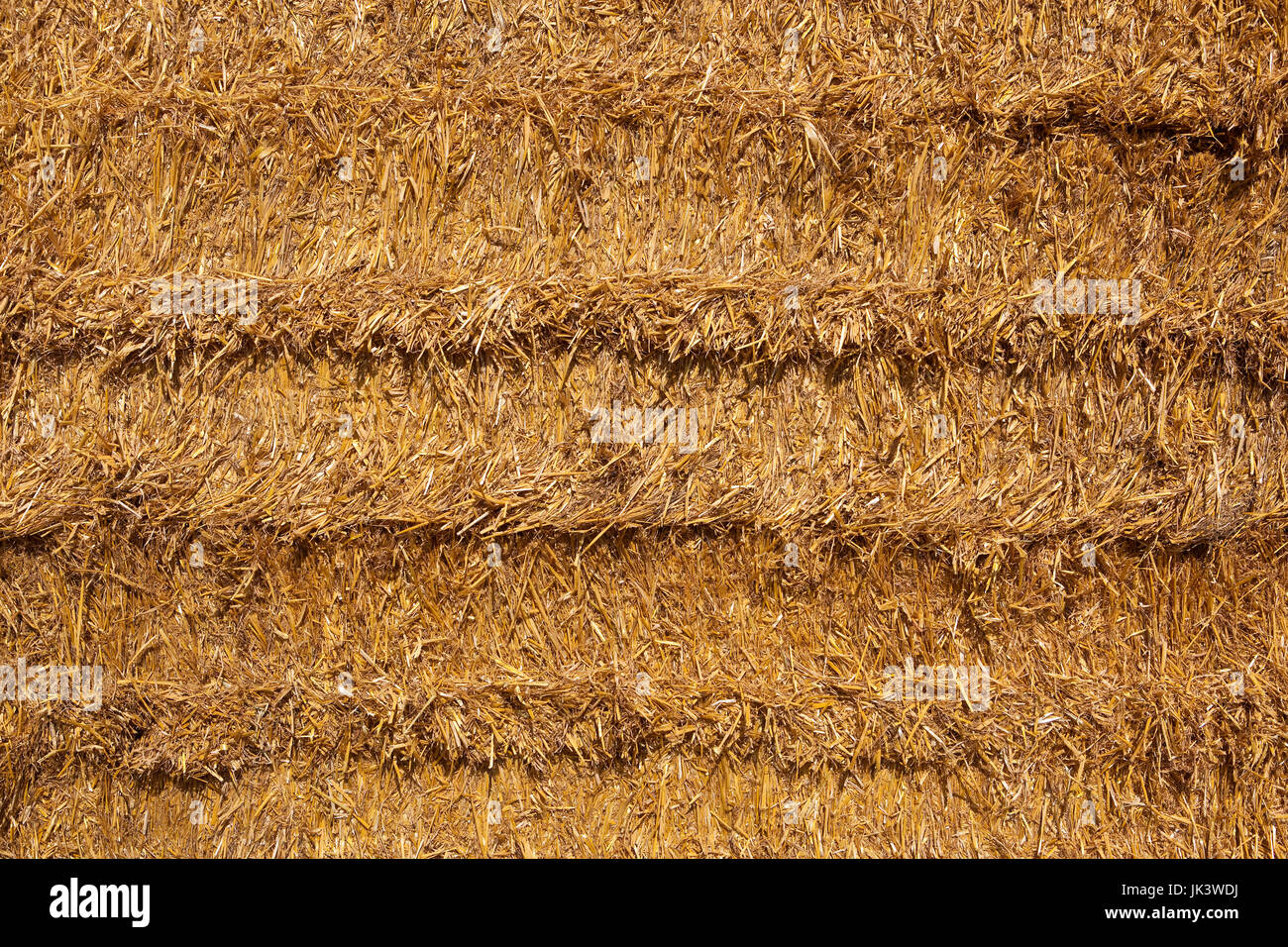 ein Hintergrundbild von geschnittenen Stroh in Ballen bei der Ernte Stockfoto