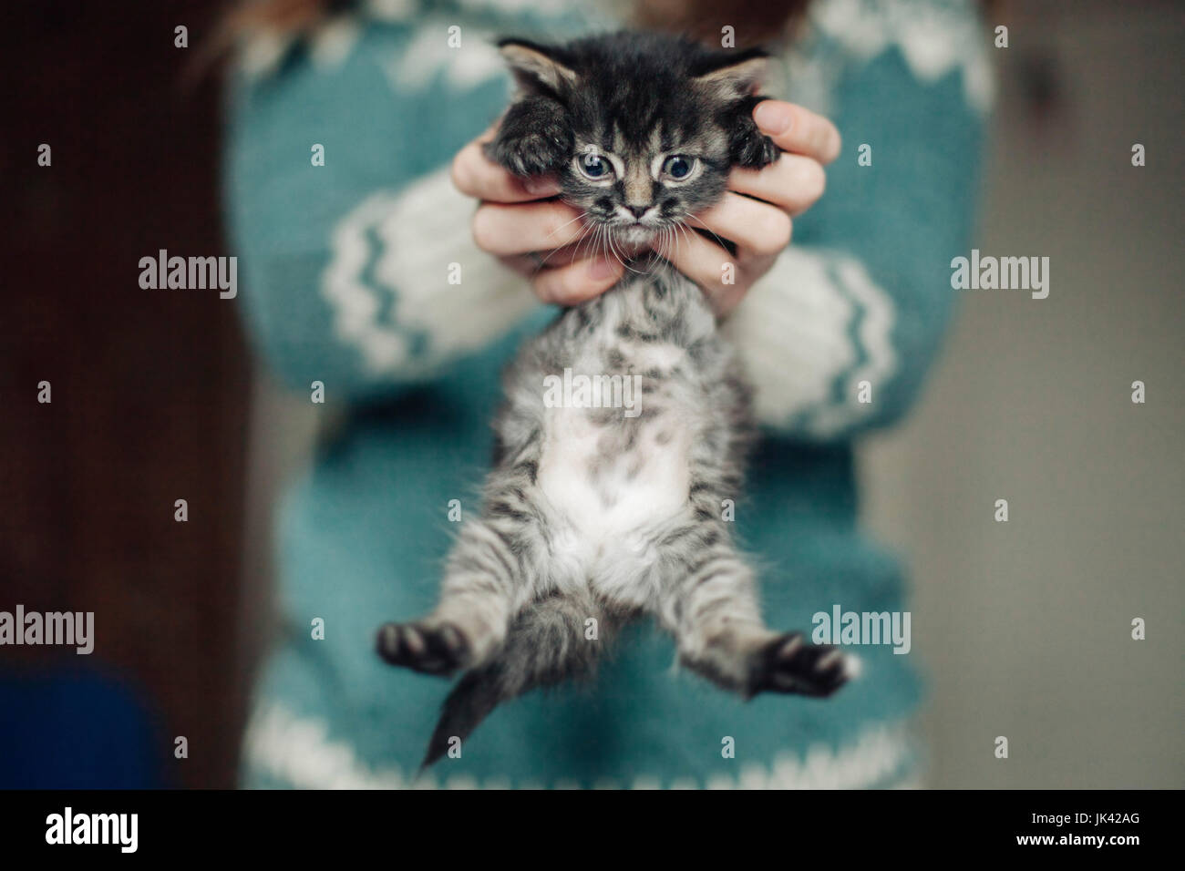 Kaukasische Frau baumelnden Kätzchen Stockfoto